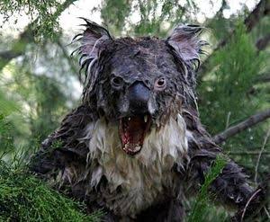 動物の画像にセリフを付けるトピ
