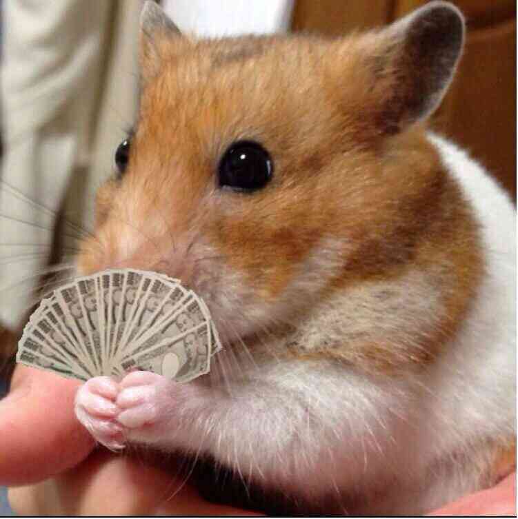 動物の画像にセリフを付けるトピ