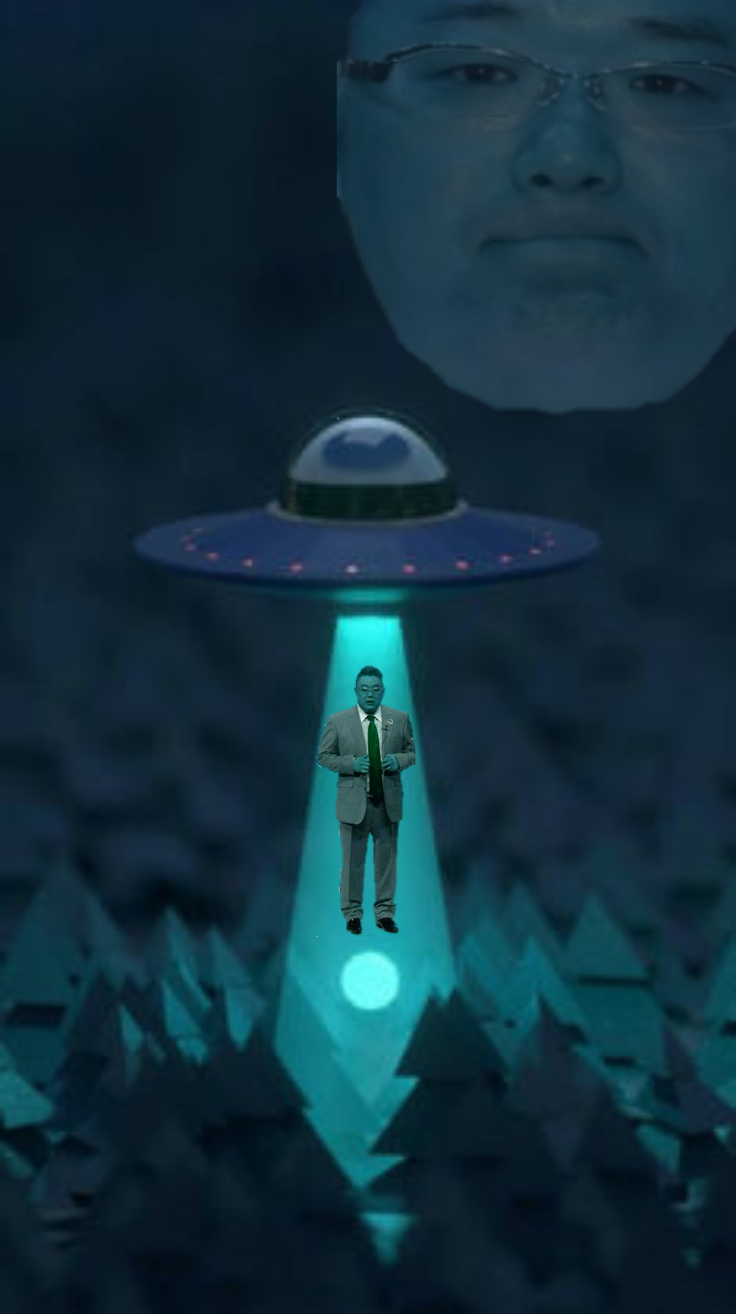ほんやり見ると違う物に見える画像