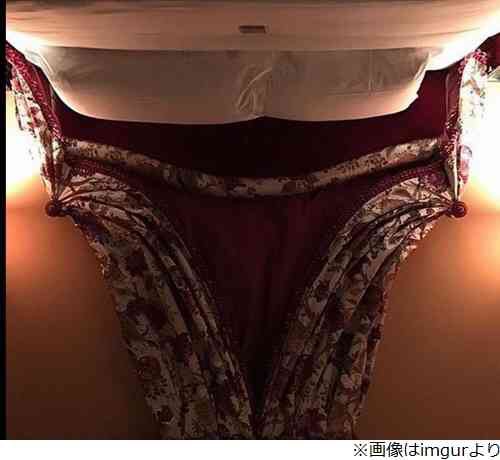 ほんやり見ると違う物に見える画像