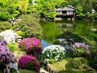 日本の世界に誇れる文化、技術
