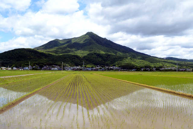 大学時代、地方で一人暮らしをしていた方