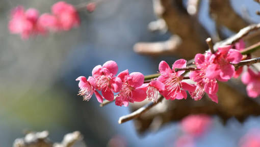 40代の方、語りませんか？