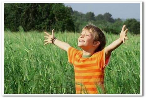 やりたいことが見つかった人！