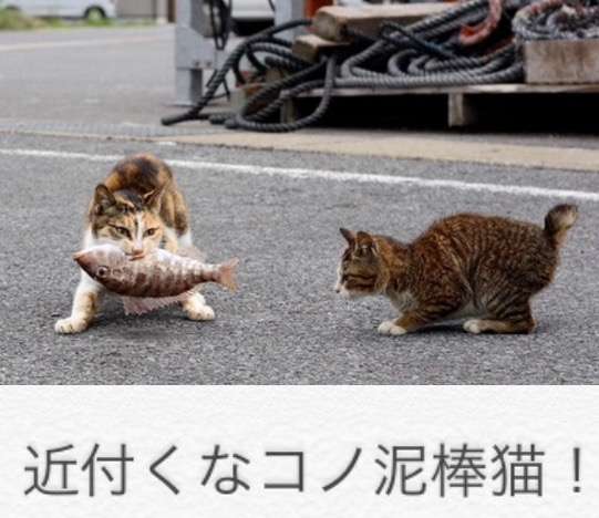 ベッキーがナイナイ岡村隆史に衝撃の告白 「彩がオカムーと私を…」