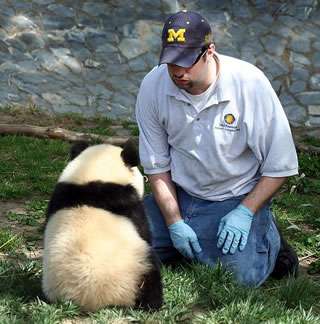 動物の赤ちゃんの画像で和みましょう