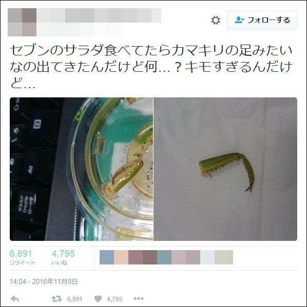 野菜についてる虫が怖い人！
