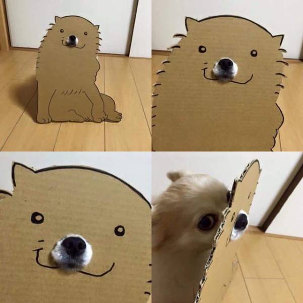 笑えるけど『なんかウゼぇ…(笑)』となる画像を貼るトピ