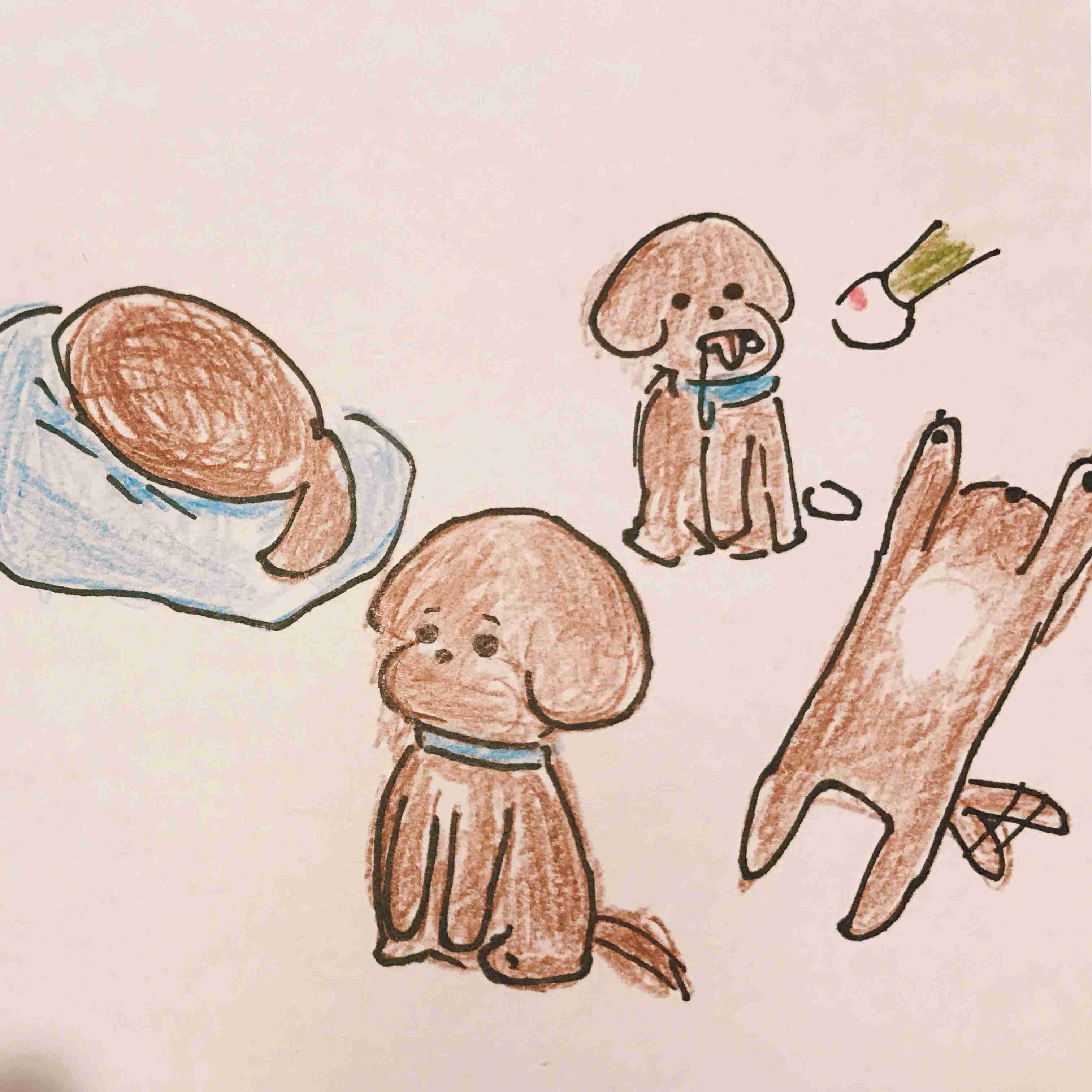 ペットの似顔絵を描くトピ