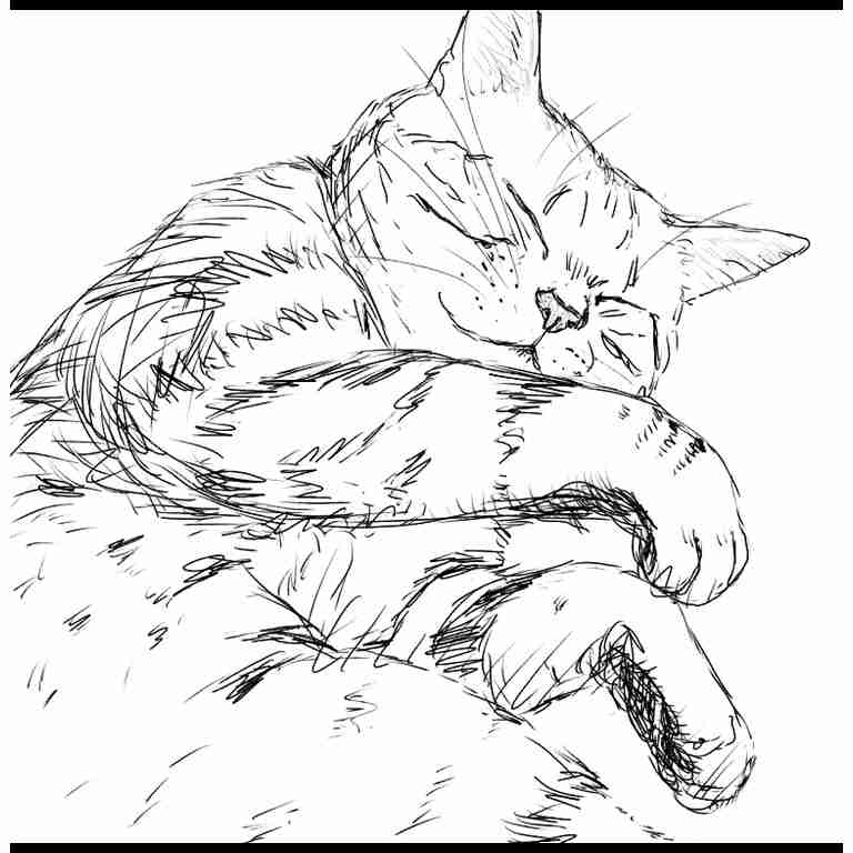 ペットの似顔絵を描くトピ