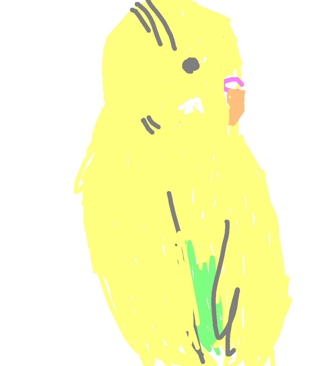 ペットの似顔絵を描くトピ