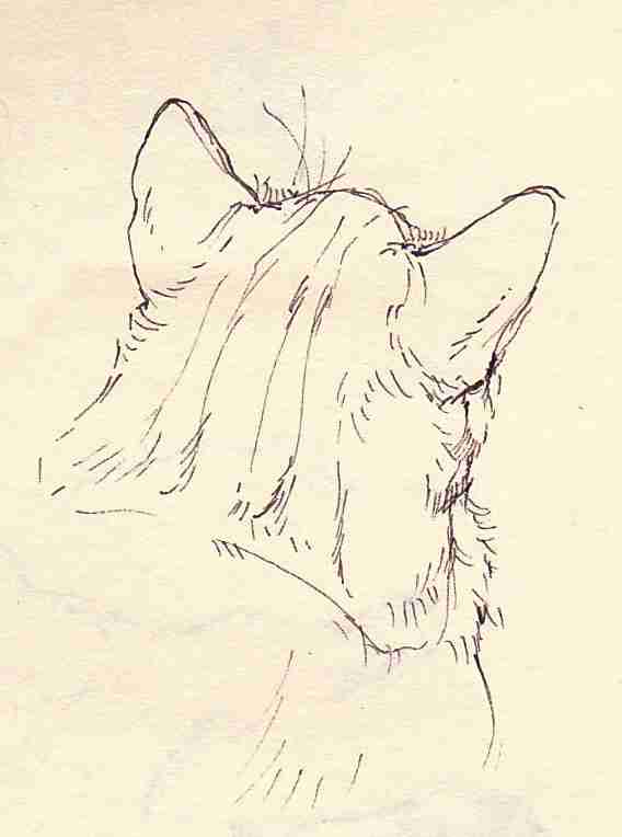 ペットの似顔絵を描くトピ