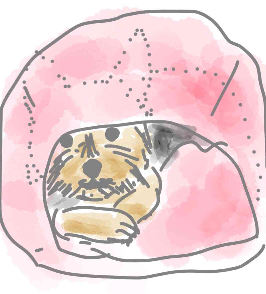 ペットの似顔絵を描くトピ