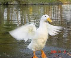 私に、「頑張れ」って言ってくれませんか?