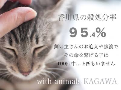 2月のこの時期、「動物愛護団体の電話が鳴りっぱなし」になる悲しい理由とは…
