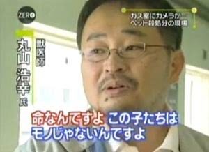2月のこの時期、「動物愛護団体の電話が鳴りっぱなし」になる悲しい理由とは…
