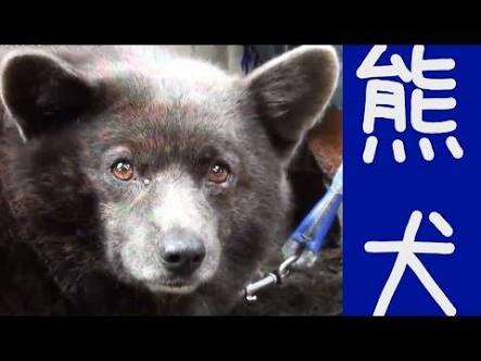 本気で自分に似てる画像を貼ってこう！part2