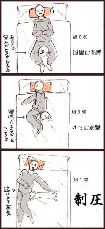ペットに寝る場所を占領される方