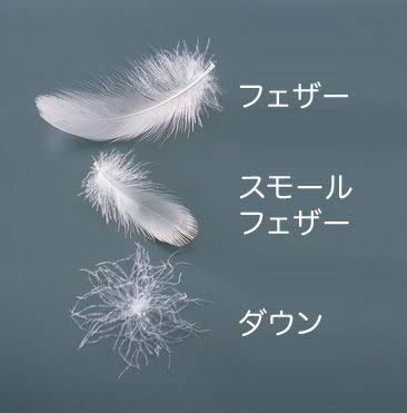 高級ダウン持ってますか？