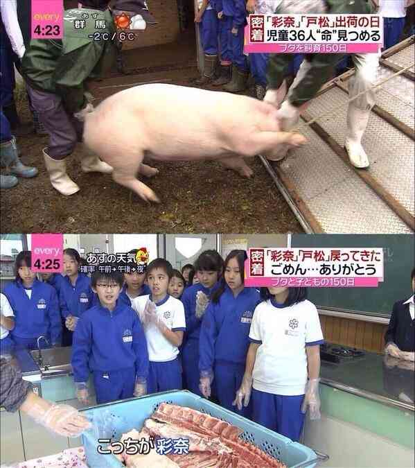 もしも自分で殺さないといけないなら、豚や牛を殺してまで肉を食べますか？