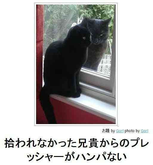 寂しげな画像を貼って『寂しいのは私だけじゃないんだ！』と強くなっていくトピ
