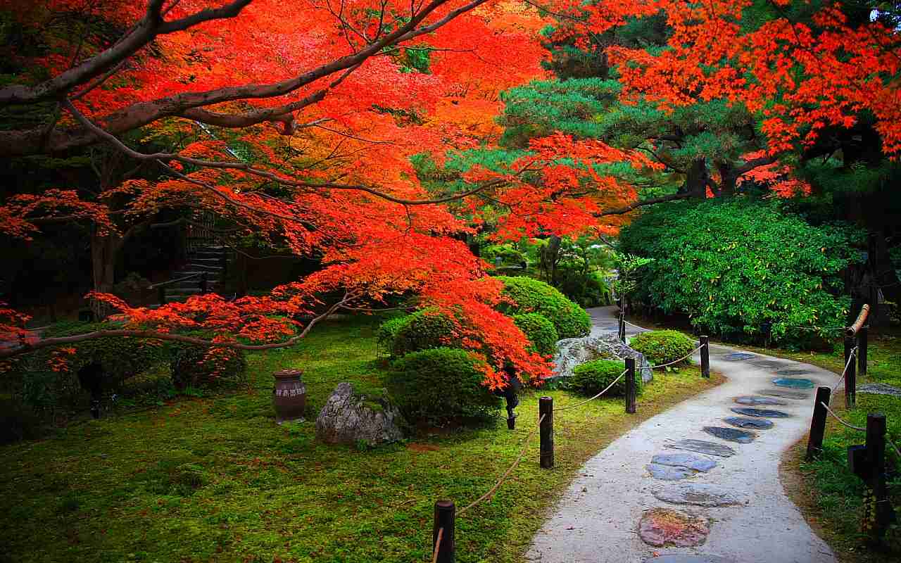 京都あるある♪