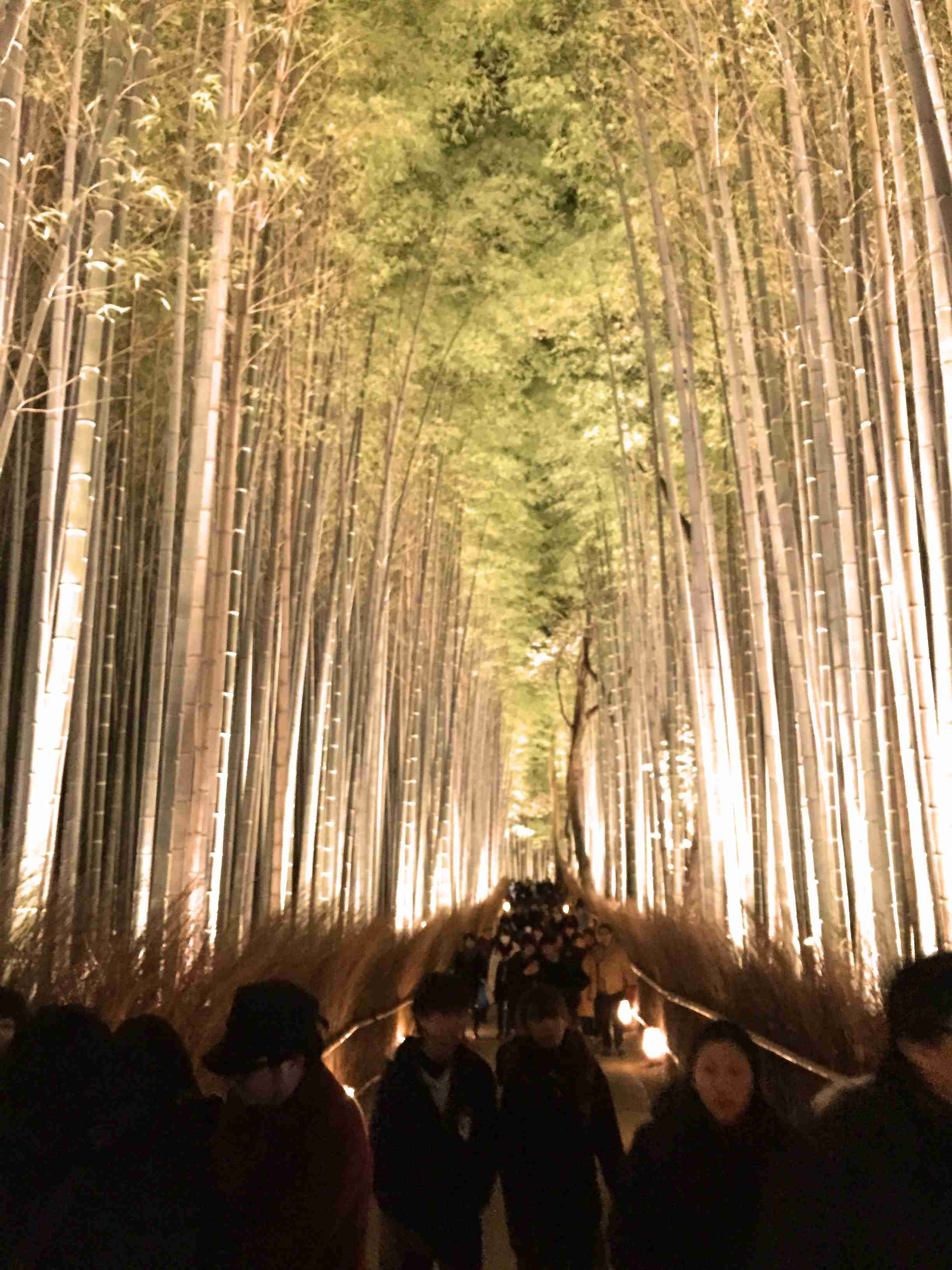 京都あるある♪