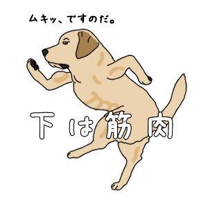 美容、何に一番お金掛けてますか？