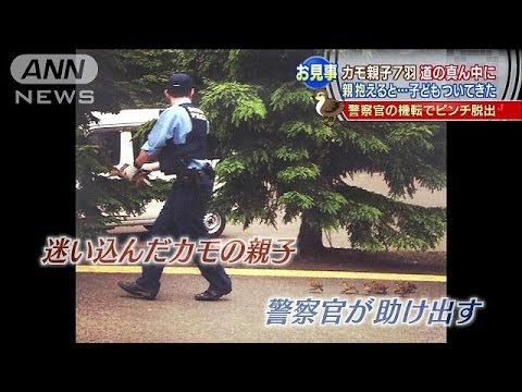 ここはココロの清い人のみが集まるトピです