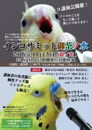 鳥が好きな方、集合ー！