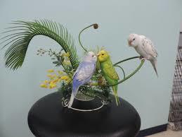 鳥が好きな方、集合ー！