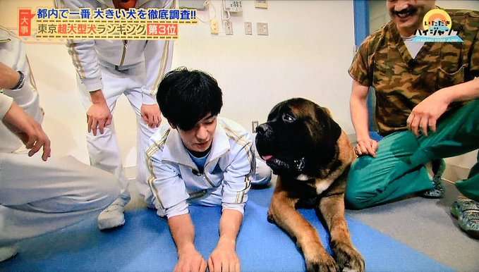 中島裕翔くん好きな人、集合〜！