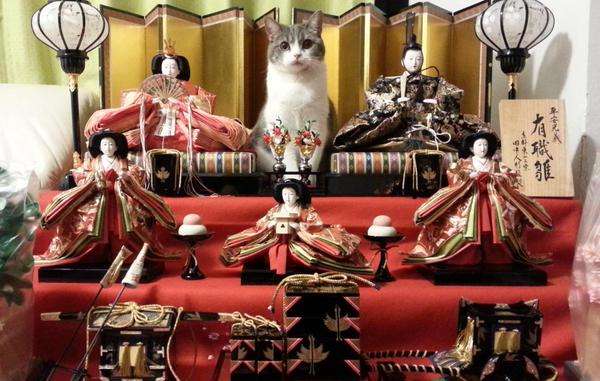 いろいろなひなまつりの画像がみたい