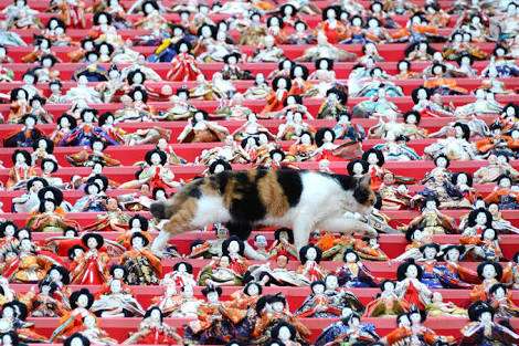 いろいろなひなまつりの画像がみたい
