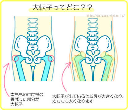 下半身デブ集まれ！