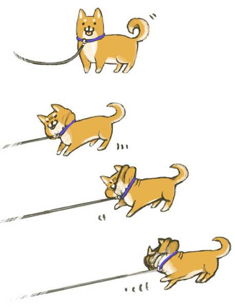 犬のいる生活