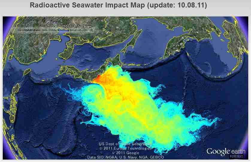 福島第一原発2号機、毎時650シーベルトを観測…過去最高を更新、除去作業を中断