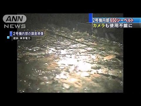 福島第一原発2号機、毎時650シーベルトを観測…過去最高を更新、除去作業を中断