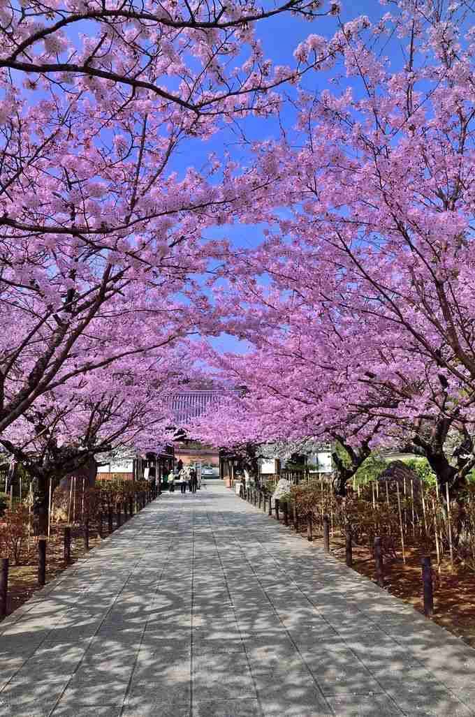 自分の地元のお気に入りの写真や画像を貼ろう♪