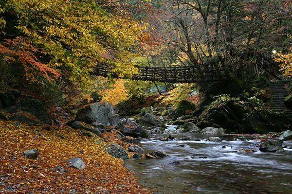 自分の地元のお気に入りの写真や画像を貼ろう♪
