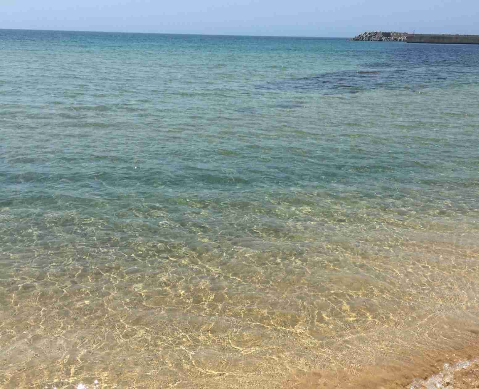 自分の地元のお気に入りの写真や画像を貼ろう♪