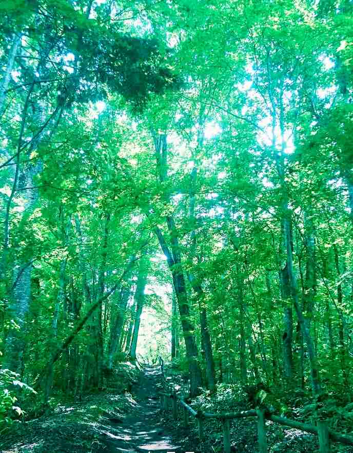 自分の地元のお気に入りの写真や画像を貼ろう♪
