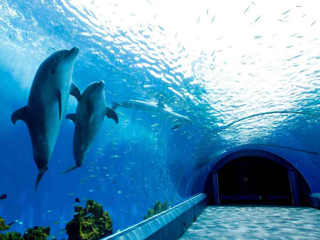 自分の地元のお気に入りの写真や画像を貼ろう♪