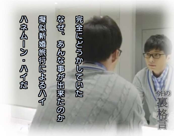 ドラマ【逃げるは恥だが役に立つ】好きな人！part2