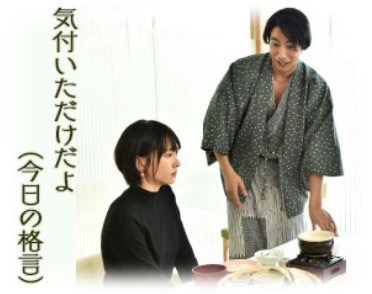 ドラマ【逃げるは恥だが役に立つ】好きな人！part2