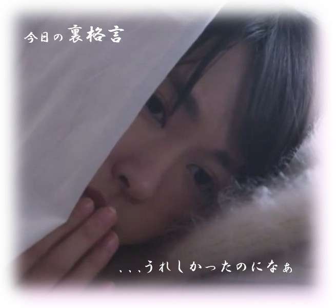 ドラマ【逃げるは恥だが役に立つ】好きな人！part2