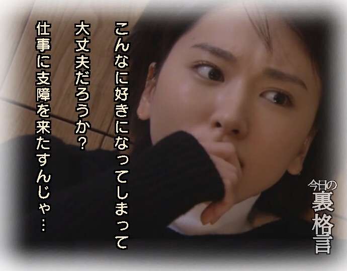 ドラマ【逃げるは恥だが役に立つ】好きな人！part2