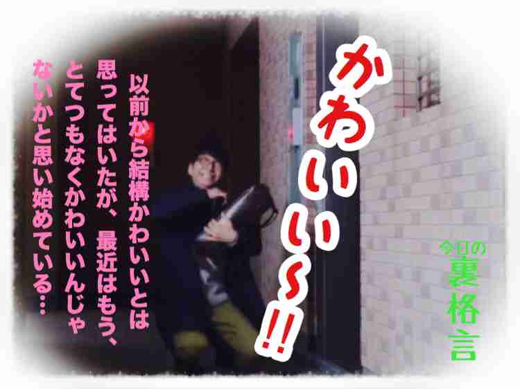 ドラマ【逃げるは恥だが役に立つ】好きな人！part2
