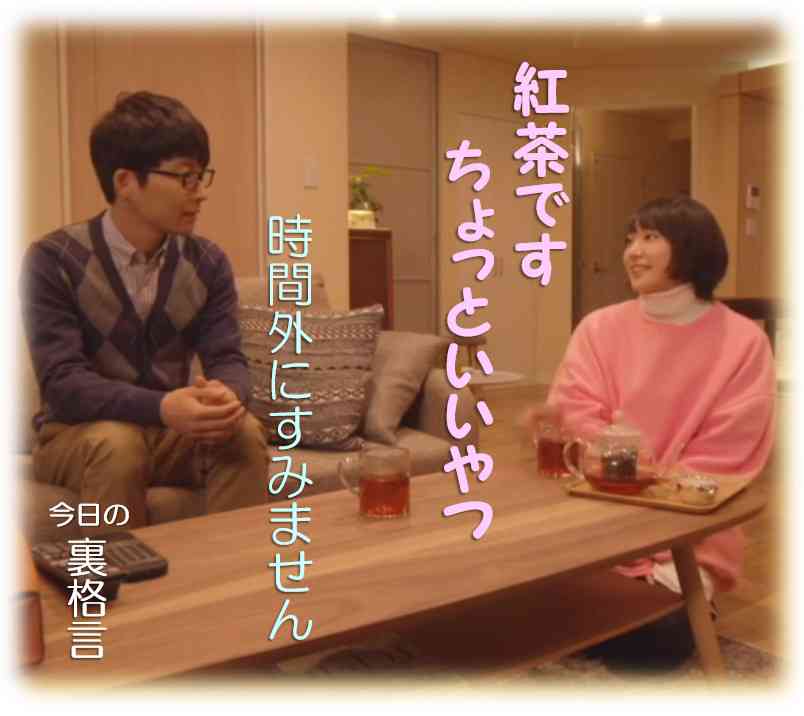 ドラマ【逃げるは恥だが役に立つ】好きな人！part2