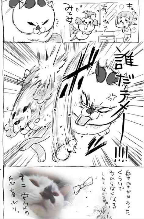 直近で保存した画像見せて！